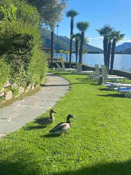 Holiday On The Lake Lugano 2-16 ビッソーネ エクステリア 写真